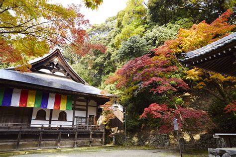 神峰山寺|神峯山寺（かぶさんじ）の見どころと行き方（大阪の。